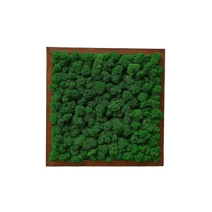 Tablou din licheni stabilizati 3030 cm  decor natural pentru perete, handmade - Artynos.ro