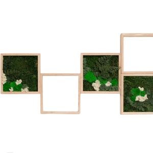 Set perete 5 tablouri 3030 cm cu licheni  ideal pentru casa, birou, spatii comerciale - Artynos.ro