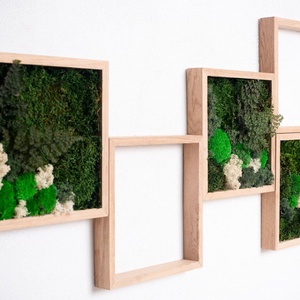 Set perete 5 tablouri 3030 cm cu licheni  ideal pentru casă, birou, spații comerciale - casă & stil de viață - accesorii pentru decorat casa - decorațiuni de pereți, decorațiuni suspendate - tablou cu licheni - Artynos.ro