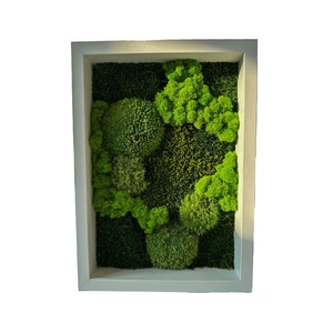 Tablou din licheni stabilizati 4030 cm  decor natural handmade pentru perete, stil minimalist - Artynos.ro