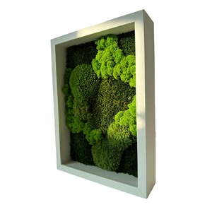 Tablou din licheni stabilizați 4030 cm  decor natural handmade pentru perete, stil minimalist - casă & stil de viață - accesorii pentru decorat casa - decorațiuni de pereți, decorațiuni suspendate - tablou cu licheni - Artynos.ro
