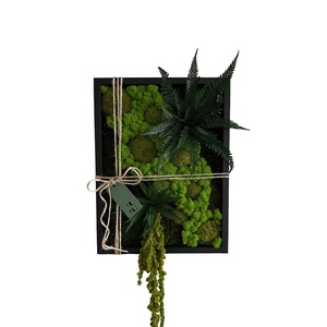 Tablou decorativ 4030 cm cu licheni stabilizați  decor verde natural, realizat manual - casă & stil de viață - accesorii pentru decorat casa - decorațiuni de pereți, decorațiuni suspendate - tablou cu licheni - Artynos.ro