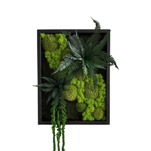 Narium