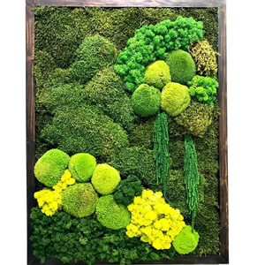 Set 3 tablouri cu licheni stabilizați 5040 cm  decor natural pentru perete, handmade - casă & stil de viață - accesorii pentru decorat casa - decorațiuni de pereți, decorațiuni suspendate - tablou cu licheni - Artynos.ro
