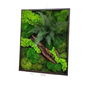 Tablou din licheni stabilizati 5040 cm  decor natural handmade pentru perete, stil eco - Artynos.ro