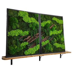 Tablou din licheni stabilizati 5060 cm  decor natural vertical sau orizontal, handmade, Casa & Stil de viata, Accesorii pentru decorat casa, Decoratiuni de pereti, decoratiuni suspendate, Tablou cu licheni, , ARTYNOS