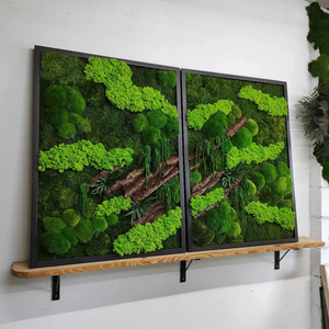 Tablou din licheni stabilizați 5060 cm  decor natural vertical sau orizontal, handmade - casă & stil de viață - accesorii pentru decorat casa - decorațiuni de pereți, decorațiuni suspendate - tablou cu licheni - Artynos.ro