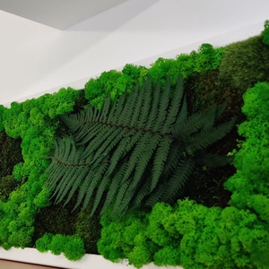 Tablou din licheni stabilizați 7030 cm  decor natural handmade, design verde pentru perete - casă & stil de viață - accesorii pentru decorat casa - decorațiuni de pereți, decorațiuni suspendate - tablou cu licheni - Artynos.ro
