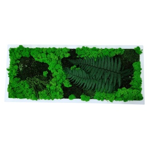 Tablou din licheni stabilizati 7030 cm  decor natural handmade, design verde pentru perete - Artynos.ro