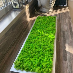 Tablou din licheni stabilizați 8030 cm  decor natural handmade pentru perete, stil eco - casă & stil de viață - accesorii pentru decorat casa - decorațiuni de pereți, decorațiuni suspendate - tablou cu licheni - Artynos.ro