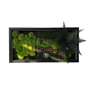 Tablou din licheni stabilizati 8040 cm  decor natural handmade, ideal pentru perete - Artynos.ro