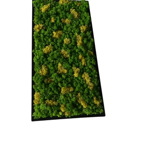 Tablou decorativ cu licheni stabilizați 8040 cm  realizat manual, decor natural pentru perete - casă & stil de viață - accesorii pentru decorat casa - decorațiuni de pereți, decorațiuni suspendate - tablou cu licheni - Artynos.ro