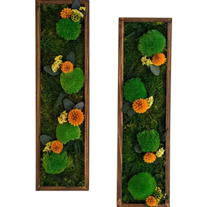 Set 2 tablouri cu licheni stabilizati 10020 cm  decor natural handmade pentru perete, Casa & Stil de viata, Accesorii pentru decorat casa, Decoratiuni de pereti, decoratiuni suspendate, Tablou cu licheni, , ARTYNOS