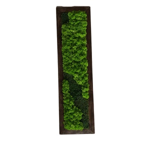Set 3 tablouri cu licheni stabilizați 10020 cm  decor natural handmade, format modular - casă & stil de viață - accesorii pentru decorat casa - decorațiuni de pereți, decorațiuni suspendate - tablou cu licheni - Artynos.ro