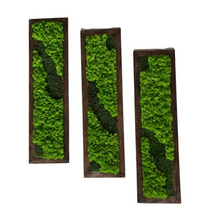 Set 3 tablouri cu licheni stabilizati 10020 cm  decor natural handmade, format modular - Artynos.ro