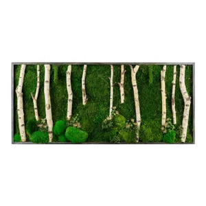 Tablou din licheni stabilizati 10050 cm  decor natural handmade, design verde pentru perete - Artynos.ro