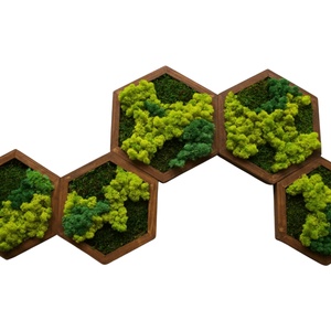 Set 5 hexagoane din licheni stabilizati 3025 cm  decor natural modular, realizat manual - Artynos.ro