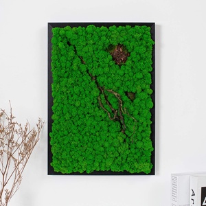 Tablou din licheni 80�50 cm, Casa & Stil de viata, Decoratiuni de casa, Decoratiuni de pereti, Tablou cu licheni, Altele, ARTYNOS