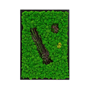 Tablou din licheni 7040 cm, Casa & Stil de viata, Accesorii pentru decorat casa, Decoratiuni de pereti, decoratiuni suspendate, Tablou cu licheni, Altele, ARTYNOS