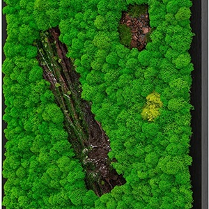 Tablou din licheni 7040 cm - casă & stil de viață - accesorii pentru decorat casa - decorațiuni de pereți, decorațiuni suspendate - tablou cu licheni - Artynos.ro