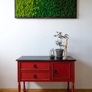 Tablou din licheni 10030 cm - casă & stil de viață - accesorii pentru decorat casa - decorațiuni de pereți, decorațiuni suspendate - tablou cu licheni - Artynos.ro