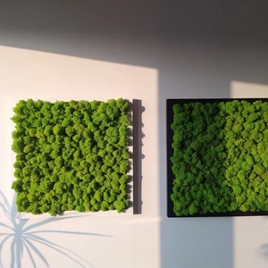 Tablou din licheni 4040 cm, Casa & Stil de viata, Accesorii pentru decorat casa, Decoratiuni de pereti, decoratiuni suspendate, Tablou cu licheni, Altele, ARTYNOS