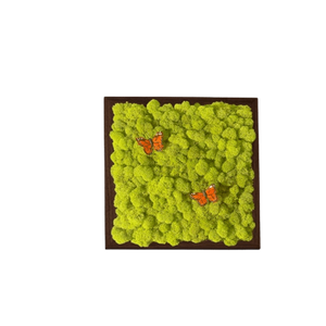 Tablou din licheni 3030 cm, Casa & Stil de viata, Accesorii pentru decorat casa, Decoratiuni de pereti, decoratiuni suspendate, Tablou cu licheni, Altele, ARTYNOS