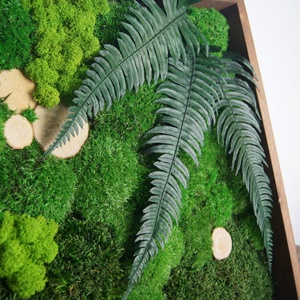 Tablou din licheni 3030 cm - casă & stil de viață - accesorii pentru decorat casa - decorațiuni de pereți, decorațiuni suspendate - tablou cu licheni - Artynos.ro