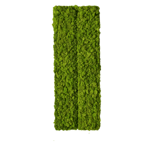 Tablou din licheni 10020 cm, Casa & Stil de viata, Accesorii pentru decorat casa, Decoratiuni de pereti, decoratiuni suspendate, Tablou cu licheni, Altele, ARTYNOS