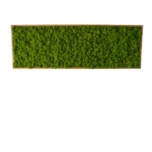 Tablou din licheni 10035 cm, Casa & Stil de viata, Accesorii pentru decorat casa, Decoratiuni de pereti, decoratiuni suspendate, Tablou cu licheni, Altele, ARTYNOS