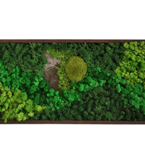 Tablou cu licheni 10030 cm, Casa & Stil de viata, Accesorii pentru decorat casa, Decoratiuni de pereti, decoratiuni suspendate, Tablou cu licheni, Altele, ARTYNOS