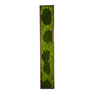 Tablou din licheni 10015 cm, Casa & Stil de viata, Accesorii pentru decorat casa, Decoratiuni de pereti, decoratiuni suspendate, Tablou cu licheni, Altele, ARTYNOS