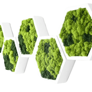 Hexagoane din licheni 3530 cm Set, Casa & Stil de viata, Accesorii pentru decorat casa, Decoratiuni de pereti, decoratiuni suspendate, Tablou cu licheni, Altele, ARTYNOS