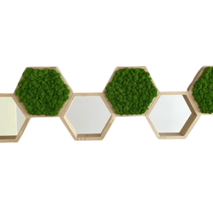 Hexagoane din licheni 2525 cm Set, Casa & Stil de viata, Accesorii pentru decorat casa, Decoratiuni de pereti, decoratiuni suspendate, Tablou cu licheni, Altele, ARTYNOS