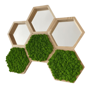Hexagoane din licheni 2525 cm Set - casă & stil de viață - accesorii pentru decorat casa - decorațiuni de pereți, decorațiuni suspendate - tablou cu licheni - Artynos.ro