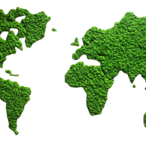 Harta lumii din licheni 9054 cm - casă & stil de viață - accesorii pentru decorat casa - decorațiuni de pereți, decorațiuni suspendate - tablou cu licheni - Artynos.ro