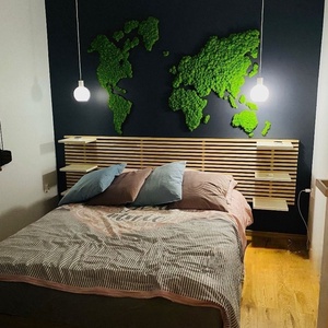 Harta lumii din licheni 9054 cm - casă & stil de viață - accesorii pentru decorat casa - decorațiuni de pereți, decorațiuni suspendate - tablou cu licheni - Artynos.ro