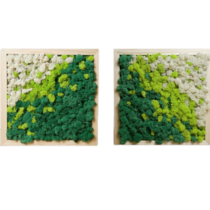 Tablouri din licheni 4040 cm Set - casă & stil de viață - accesorii pentru decorat casa - decorațiuni de pereți, decorațiuni suspendate - tablou cu licheni - Artynos.ro