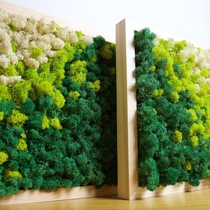 Tablouri din licheni 4040 cm Set, Casa & Stil de viata, Accesorii pentru decorat casa, Decoratiuni de pereti, decoratiuni suspendate, Tablou cu licheni, Altele, ARTYNOS