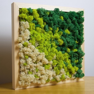 Tablouri din licheni 4040 cm Set - casă & stil de viață - accesorii pentru decorat casa - decorațiuni de pereți, decorațiuni suspendate - tablou cu licheni - Artynos.ro