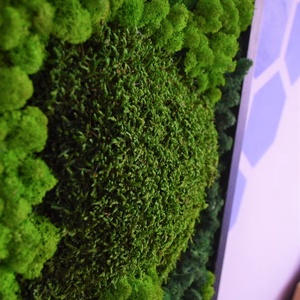 Tablou cu licheni 12030 cm - casă & stil de viață - accesorii pentru decorat casa - decorațiuni de pereți, decorațiuni suspendate - tablou cu licheni - Artynos.ro