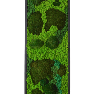 Tablou cu licheni 12030 cm - casă & stil de viață - accesorii pentru decorat casa - decorațiuni de pereți, decorațiuni suspendate - tablou cu licheni - Artynos.ro