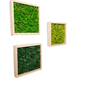 Tablouri din licheni 3030 cm Set, Casa & Stil de viata, Accesorii pentru decorat casa, Decoratiuni de pereti, decoratiuni suspendate, Tablou cu licheni, Altele, ARTYNOS