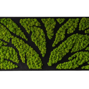 Tablou din licheni 10050 cm, Casa & Stil de viata, Accesorii pentru decorat casa, Decoratiuni de pereti, decoratiuni suspendate, Tablou cu licheni, Altele, ARTYNOS