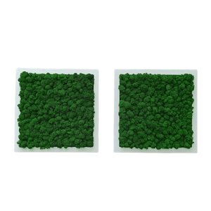 Tablouri din licheni 3535 cm SET - casă & stil de viață - accesorii pentru decorat casa - decorațiuni de pereți, decorațiuni suspendate - tablou cu licheni - Artynos.ro