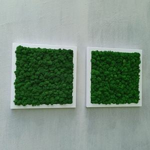 Tablouri din licheni 3535 cm SET, Casa & Stil de viata, Accesorii pentru decorat casa, Decoratiuni de pereti, decoratiuni suspendate, Tablou cu licheni, Altele, ARTYNOS