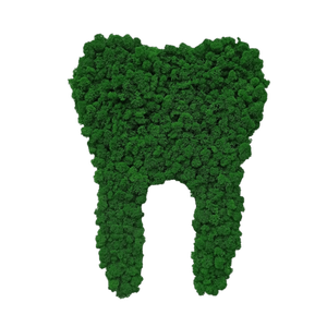 Dinte din licheni, Casa & Stil de viata, Accesorii pentru decorat casa, Decoratiuni de pereti, decoratiuni suspendate, Tablou cu licheni, Altele, ARTYNOS