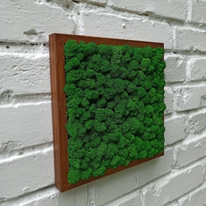 Tablou cu licheni 2525 cm - casă & stil de viață - accesorii pentru decorat casa - decorațiuni de pereți, decorațiuni suspendate - tablou cu licheni - Artynos.ro