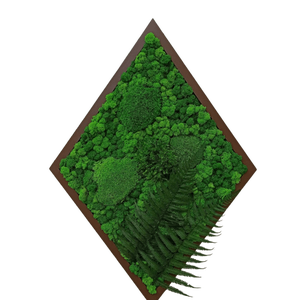 Tablou din licheni 7050 cm, Casa & Stil de viata, Accesorii pentru decorat casa, Decoratiuni de pereti, decoratiuni suspendate, Tablou cu licheni, Altele, ARTYNOS