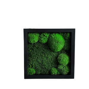 Tablou din muschi bombat 3030 cm, Casa & Stil de viata, Accesorii pentru decorat casa, Decoratiuni de pereti, decoratiuni suspendate, Tablou cu licheni, Altele, ARTYNOS